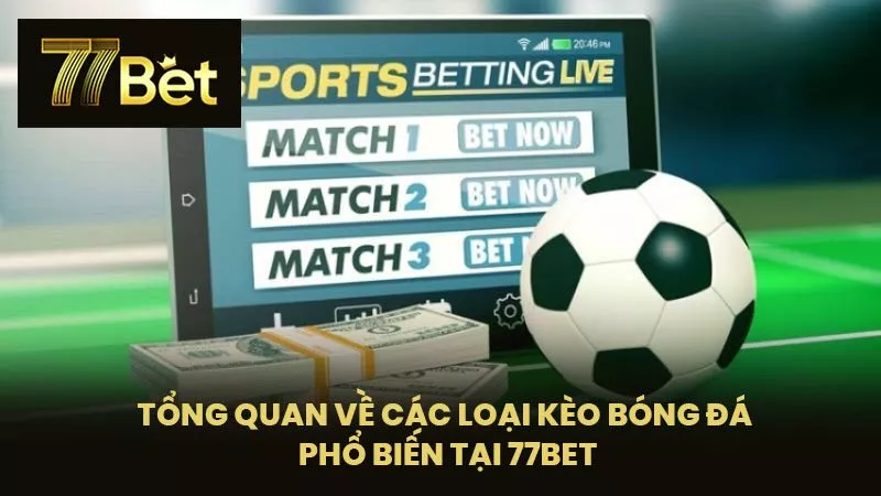Tổng Quan Về Các Loại Kèo Bóng Đá Phổ Biến Tại 77BET
