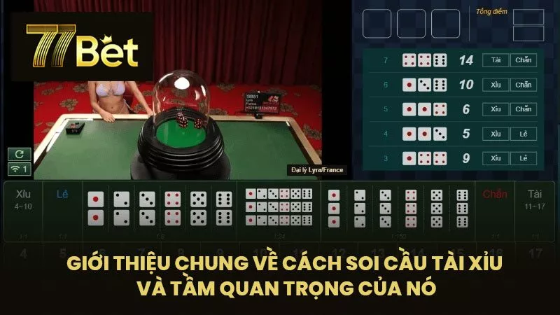 Giới thiệu chung về cách soi cầu tài xỉu và tầm quan trọng của nó