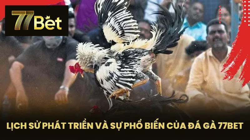 Lịch Sử Phát Triển và Sự Phổ Biến Của Đá Gà 77BET