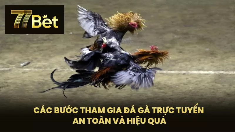 Các Bước Tham Gia Đá Gà Trực Tuyến An Toàn và Hiệu Quả