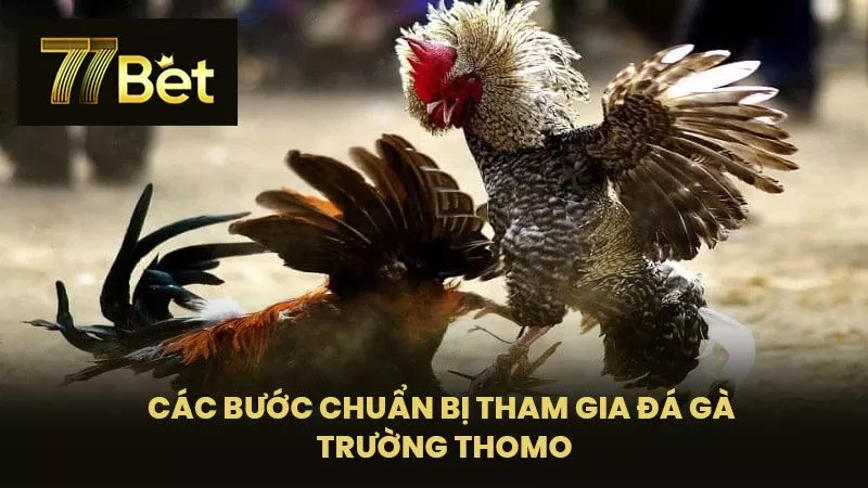 Các Bước Chuẩn Bị Tham Gia Đá Gà Trường Thomo 