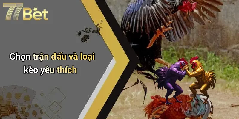 Chọn trận đấu và loại kèo yêu thích