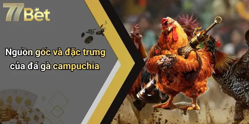 Nguồn gốc và đặc trưng của đá gà campuchia