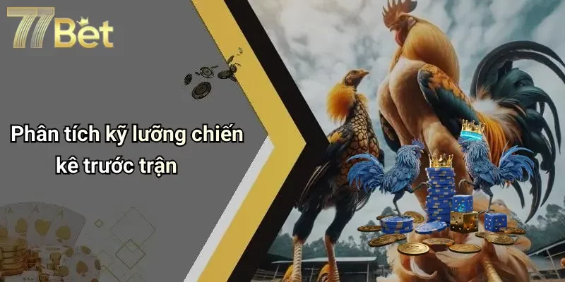 Phân tích kỹ lưỡng chiến kê trước trận